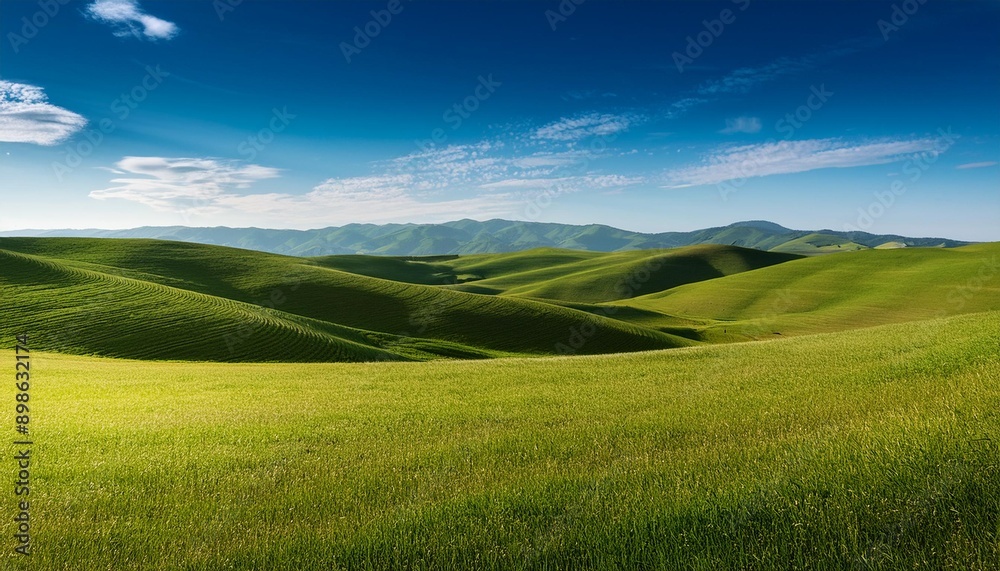 Extensas praderas verdes bajo un cielo azul Extensas praderas verdes bajo un cielo azul