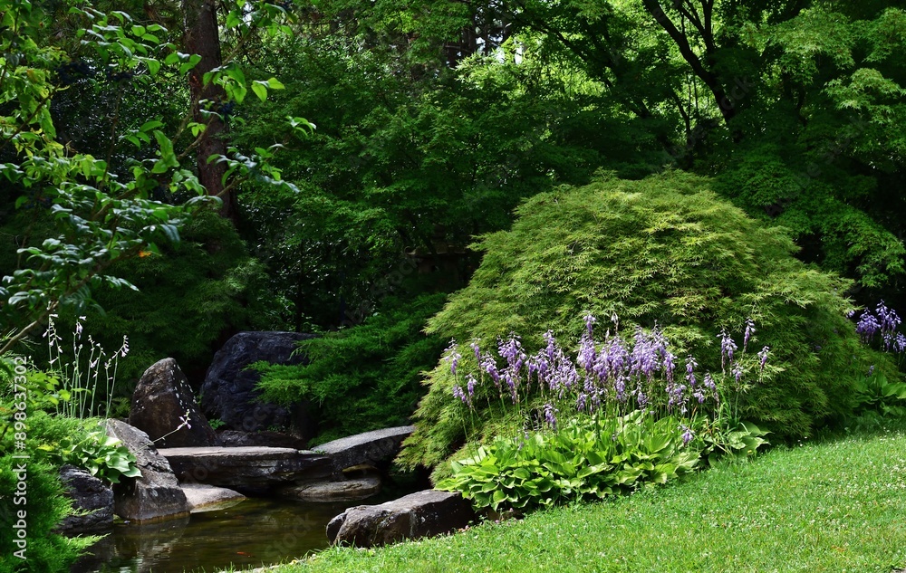 Naklejka premium Japanischer Garten im Kurpark Oberlaa im Sommer