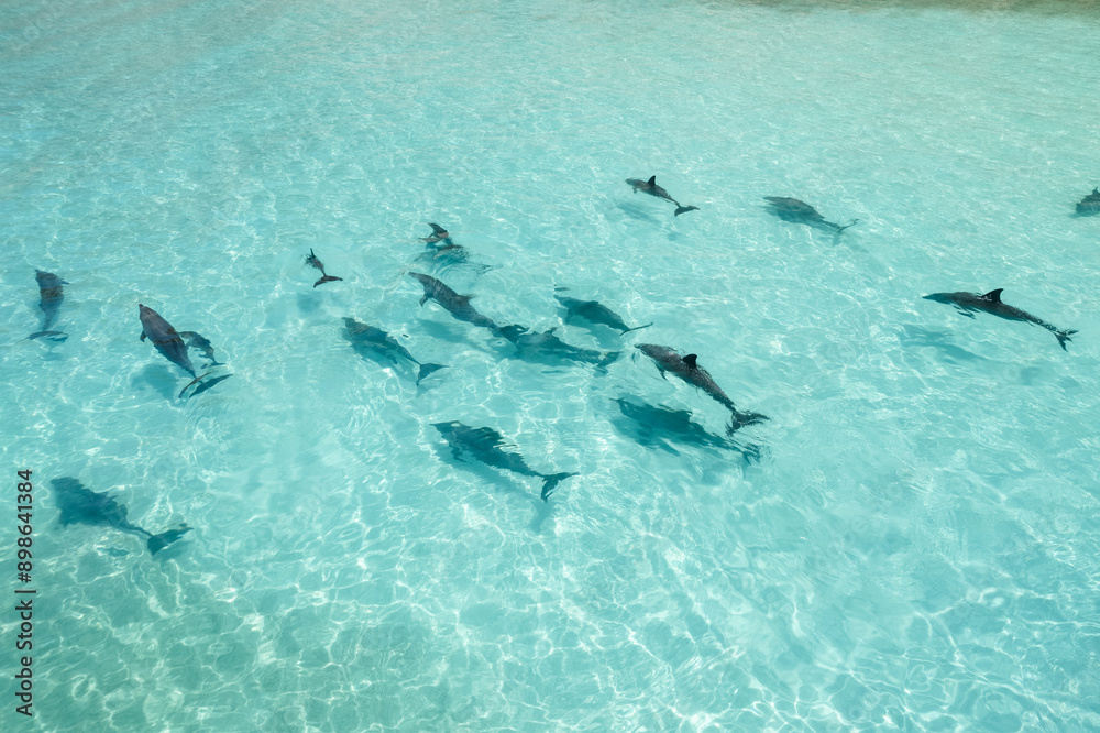 Shoab coast in Socotra - great area for sunbathing and swimming. You can spot a dolphins in this water!