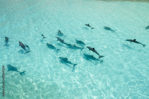 Obraz na płótnie Shoab coast in Socotra - great area for sunbathing and swimming. You can spot a dolphins in this water! w salonie