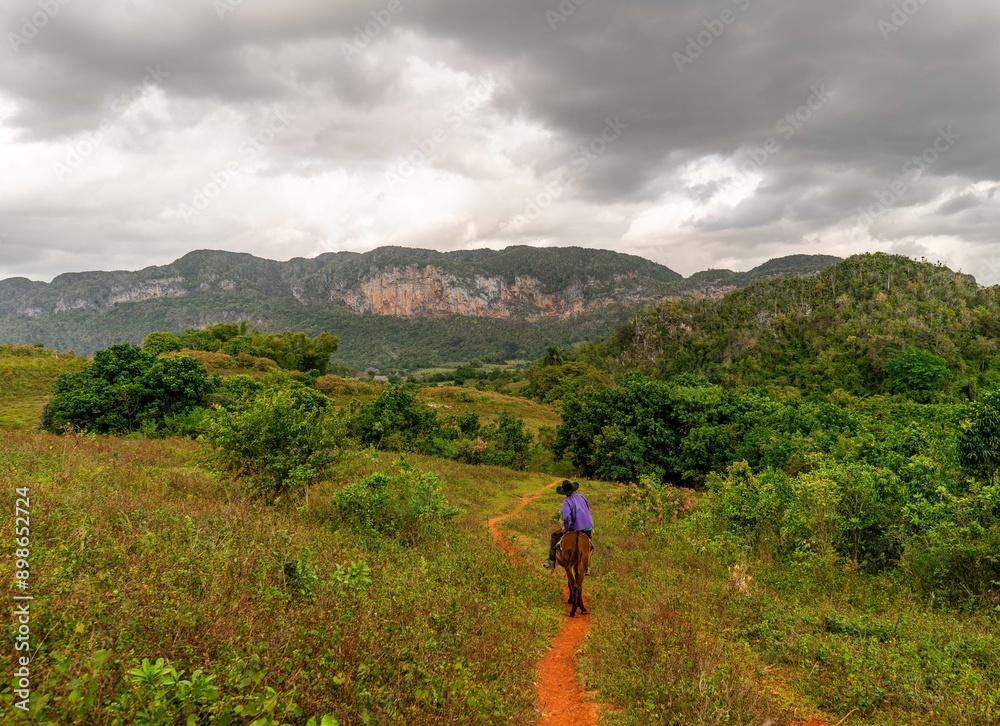 Obraz premium person riding a horse in the mountains and valley of viñales cuba countryside 