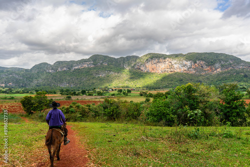 farmer on his horse on a dirt road in a valley in the countryside with mountains in viñales cuba 