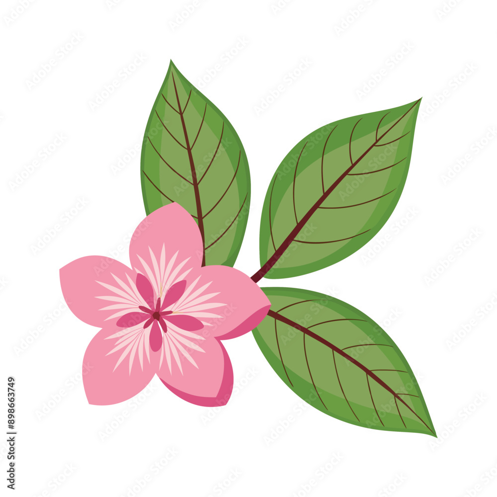 Flower Design Vector 