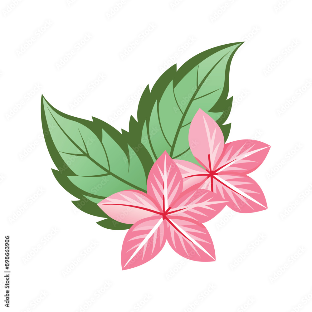 Flower Design Vector Flower Design Vector