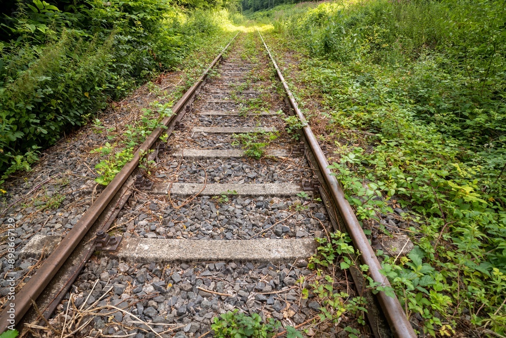 railway tracks close up in the green railway tracks close up in the green