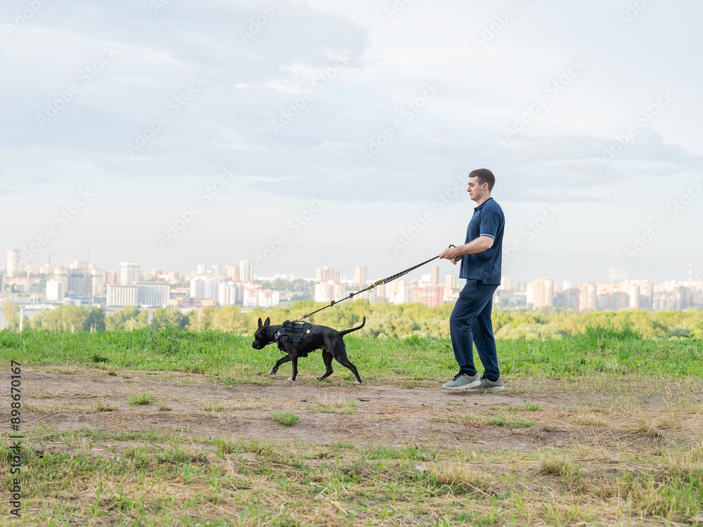 Man running with pit bull terrier outdoors. Man running with pit bull terrier outdoors.
