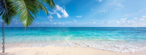  A beach scene with a palm tree in the foreground and a blue sky dotted with clouds in the background