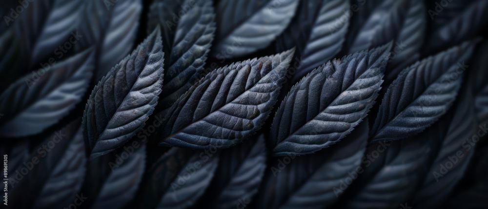 A tight shot of numerous leaves, accompanied by a hazy representation of the same leaves in the periphery A tight shot of numerous leaves, accompanied by a hazy representation of the same leaves in the periphery