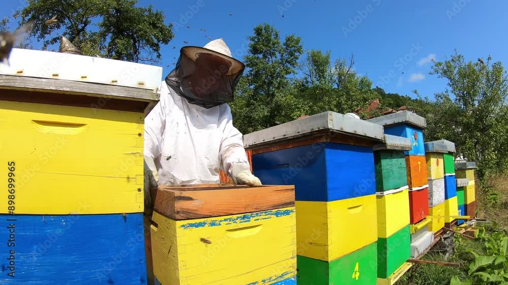 Beekeeper working in the apiary. Natural rural environment, healthy organic food, bee products. Beekeeper working in the apiary. Natural rural environment, healthy organic food, bee products.
