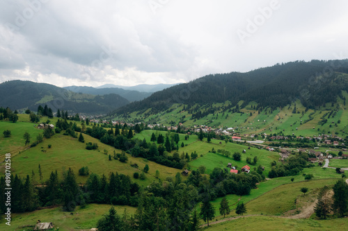 Beautiful aerial summer view of the forest in the mountains and valley or hills.	
