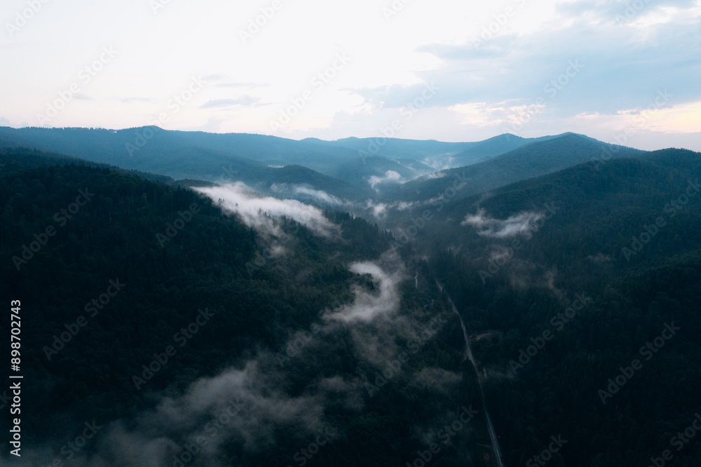 Mountains with pine forest in the fog. Foggy landscape with fir forest. Mountains with pine forest in the fog. Foggy landscape with fir forest.