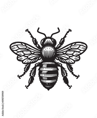 vector Bee vector art,graphics Bees icons set,vintage illustration Bee clipart,vector Bees flat style artwork design