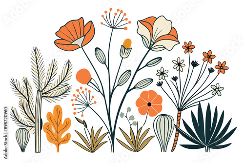 illustrations of desert wildflower E.eps