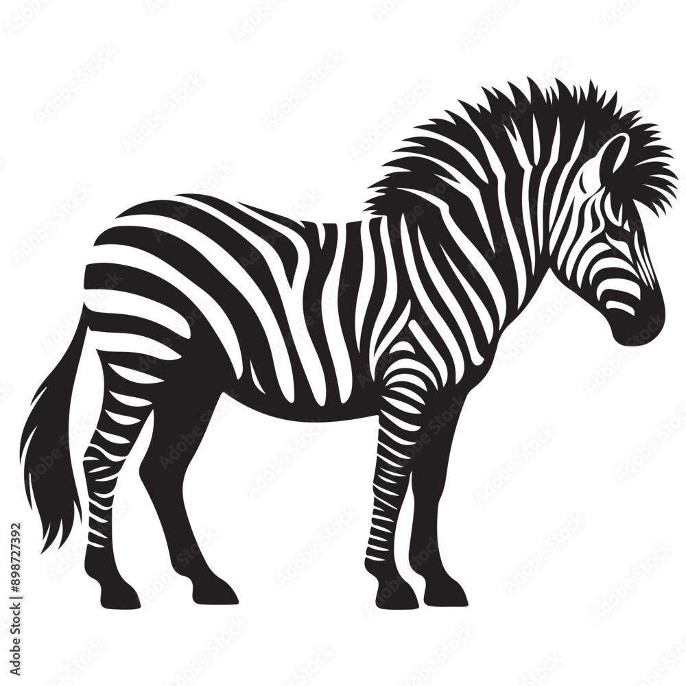 Obraz premium zebra Silhouette vector white back ground