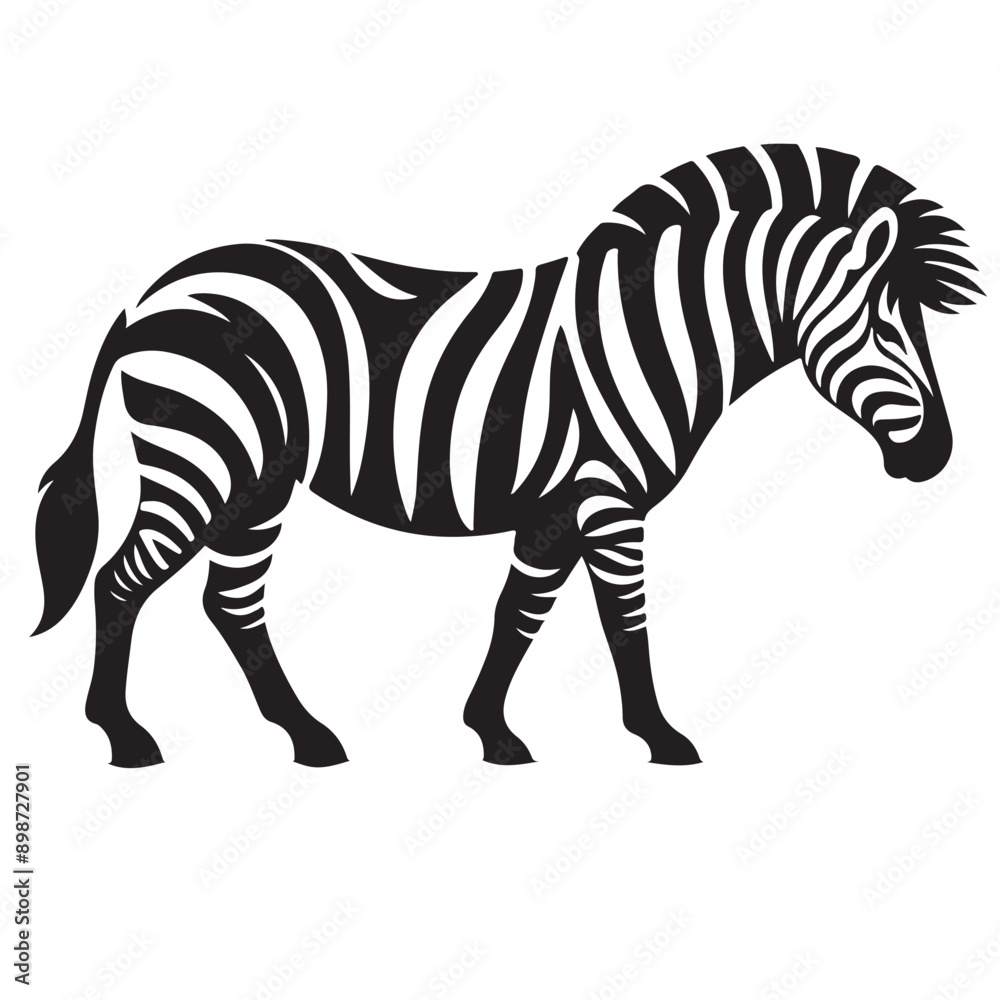 Obraz premium zebra Silhouette vector white back ground