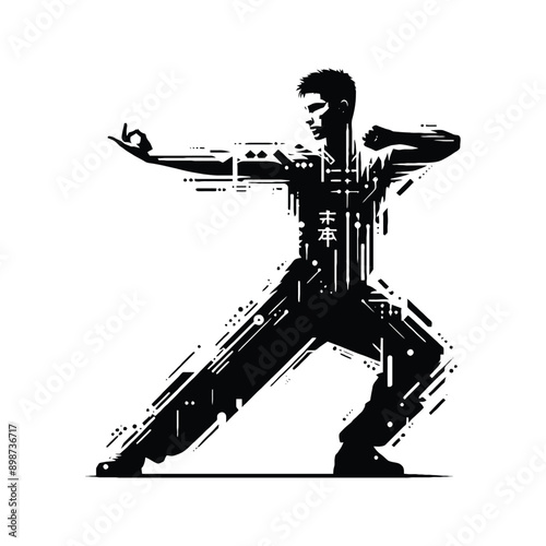 kungfu, Tai Chi