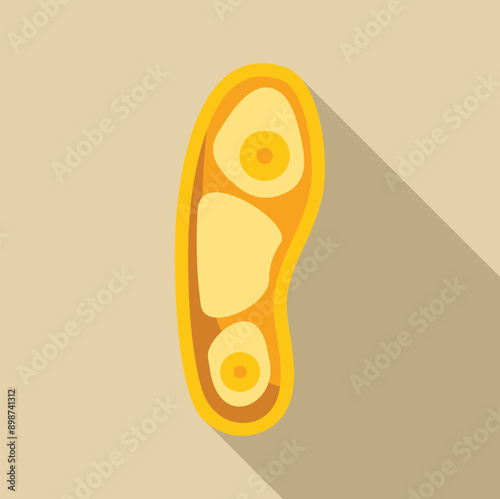 Illustration showing the cell structure of a yellow bacterium with a long shadow