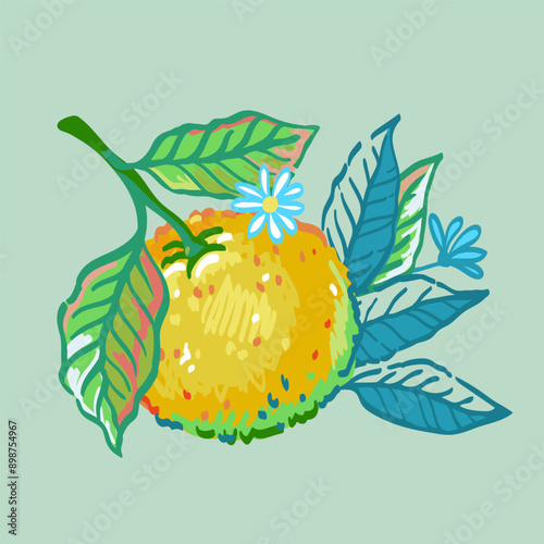 Wallpaper Mural Vector hand drawn illustration of branches orange tree with fruit and leaves. Illustrations of bright ripe citrus fruit and flowers Torontodigital.ca