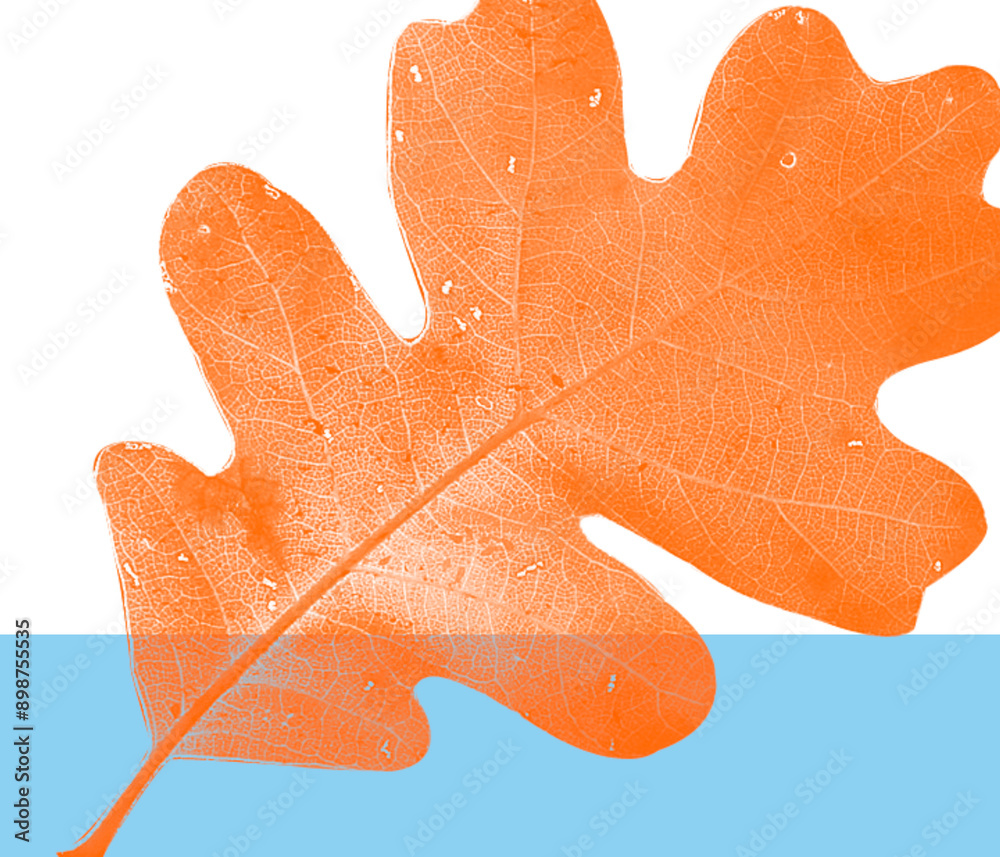 Obraz premium ilustraciones colores