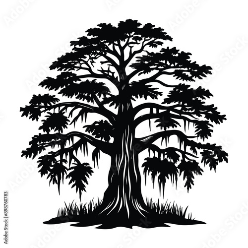 A Sycamore Tree Silhouette