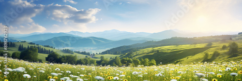 A colorful meadow full of blooming dandelions on a hilly area or hillside in summer time at daytime with sunbeams, a colorful rustic pastoral landscape panorama design with copy space for greeting car