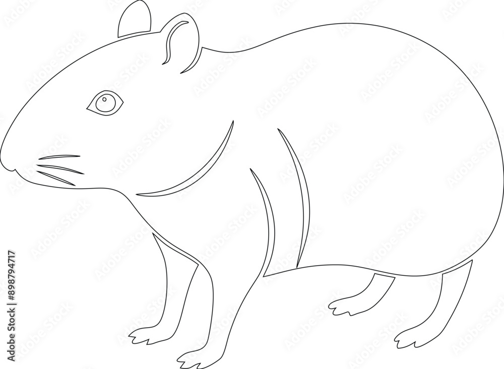 Obraz premium tracing coloring pages for kids and teachers