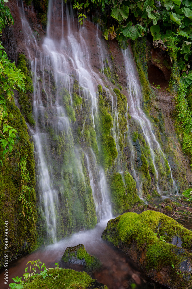 Obraz premium A wall of waterfalls on a green moss-covered slope of a volcano, Iturup Island