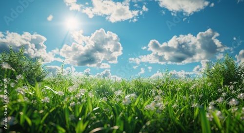 Sun Setting Over Field of Grass