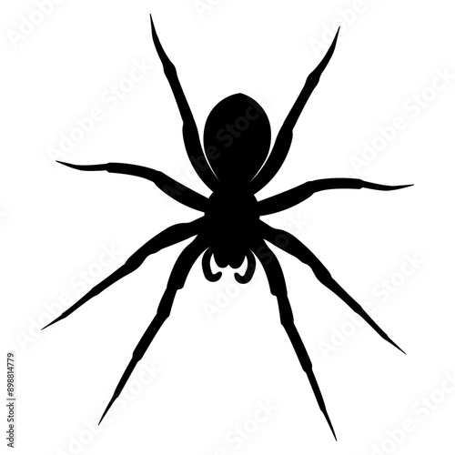 Spider.Silhouette of black spider.Vector spider icon.Large scary spider.