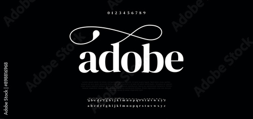 Adobe premium luxury elegant alphabet letters and numbers. Elegant wedding typography classic serif font decorative vintage retro. Creative vector illustration	