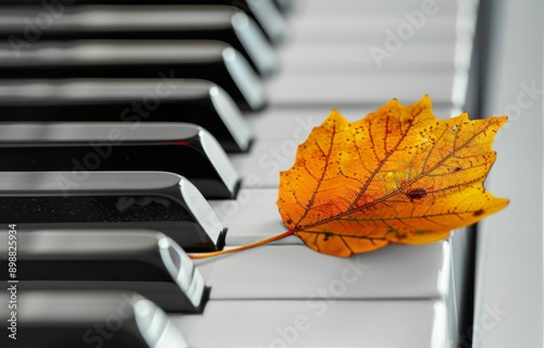 Single Orange Leaf Resting on Piano Keys