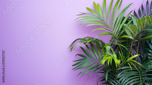 Close up of a lush green palm tree against a soft purple background