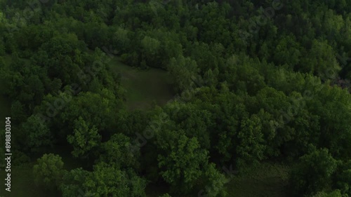 Drone tilt up from trees to horizon with rain clouds