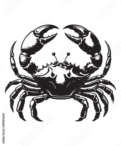 crab vector art,graphics crabs icons set,vintage illustration crab clipart,vector crabs flat style artwork design