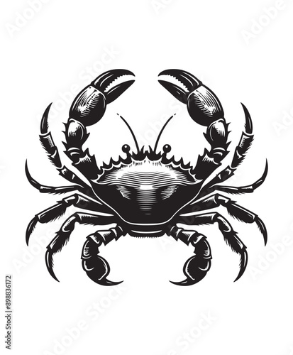 crab vector art,graphics crabs icons set,vintage illustration crab clipart,vector crabs flat style artwork design