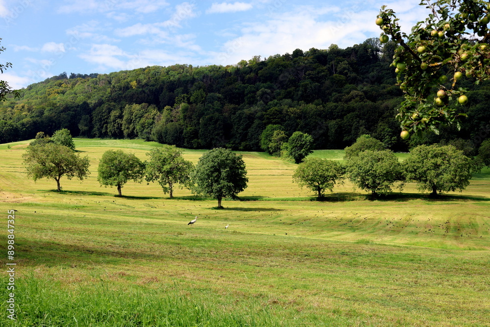 Fototapeta premium Schönberg bei Freiburg im Frühling