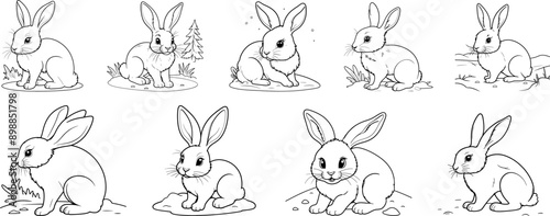 Wallpaper Mural Snowshoe Hare coloring page and outline vector design Torontodigital.ca