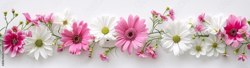 Vibrant pink and white flowers arranged beautifully, perfect for spring themes or celebrations. Ideal for use in floral design or event decoration. Vibrant pink and white flowers arranged beautifully, perfect for spring themes or celebrations. Ideal for use in floral design or event decoration.