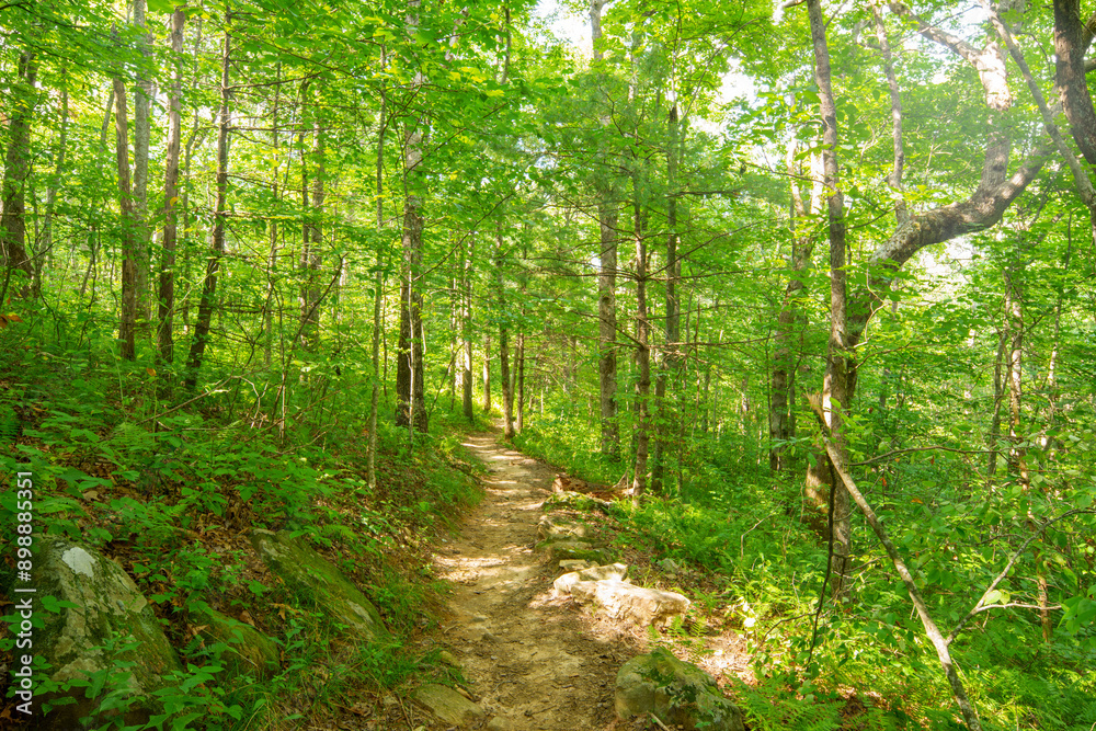 Appalachian Trail, Georgia, USA 2024 Appalachian Trail, Georgia, USA 2024