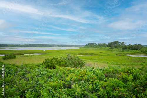 Wildlife preserves on Marthas Vineyard 2024