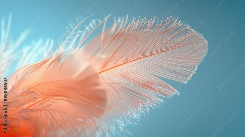 Single orange feather is gently floating on a serene blue background, evoking feelings of tranquility and lightness Single orange feather is gently floating on a serene blue background, evoking feelings of tranquility and lightness