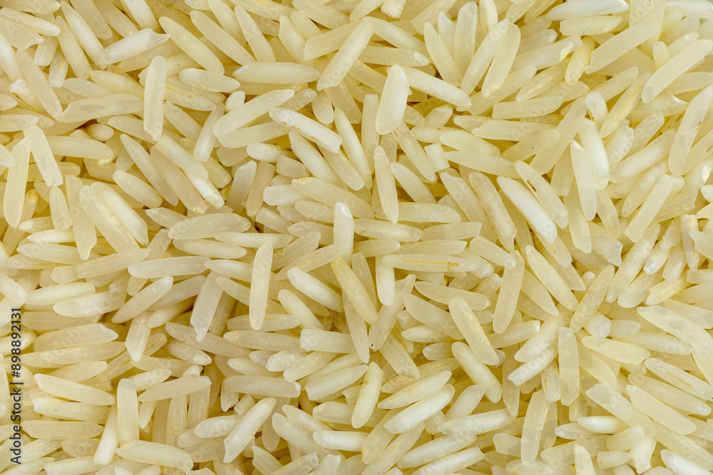 Macrophotograph of numerous basmati rice grains seen from the top in great detail. Macrophotograph of numerous basmati rice grains seen from the top in great detail.