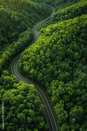 overhead view of a road in the middle of a forest Generative AI