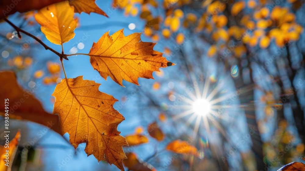 A warm and inviting scene with sunlight shining through the leaves of a tree A warm and inviting scene with sunlight shining through the leaves of a tree