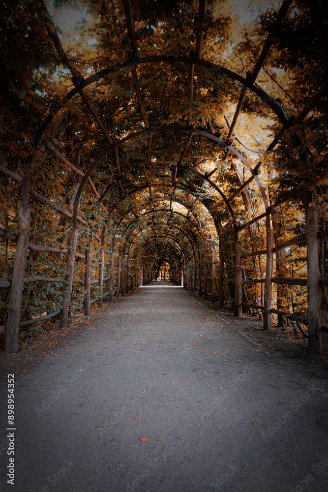 Obraz premium Charming Forest Tunnel of Branches and Trees, Rustic Autumn Path with Canopy of Leaves, Light and Shadows Creating a Tranquil Atmosphere for Nature Walks, parks and green spaces Outdoors