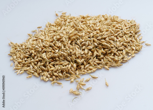 Close-up of stacked dried barley shoots to make malt on white floor, South Korea 