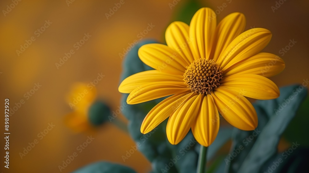 Fototapeta premium A close-up of a yellow flower with vibrant, detailed petals. A yellow flower with a core of delicate stamens.