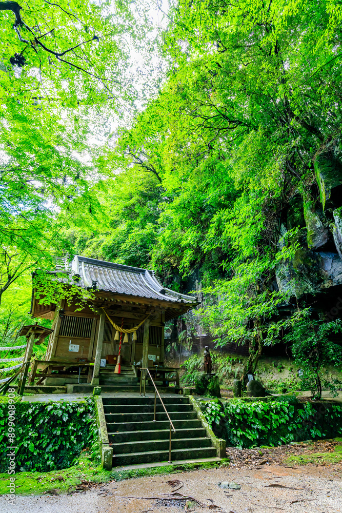 夏の八女津媛神社 福岡県八女市 YameTsuhime Shrine in summer. Fukuoka Pref, Yame City. 夏の八女津媛神社 福岡県八女市 YameTsuhime Shrine in summer. Fukuoka Pref, Yame City.