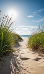 Crédence de cuisine Plage et Mer Path to the Beach Through Grassy Dunes.  © BOJOShop