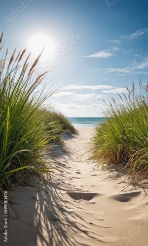 Fototapeta Naklejka Na Ścianę i Meble -  Path to the Beach Through Grassy Dunes.